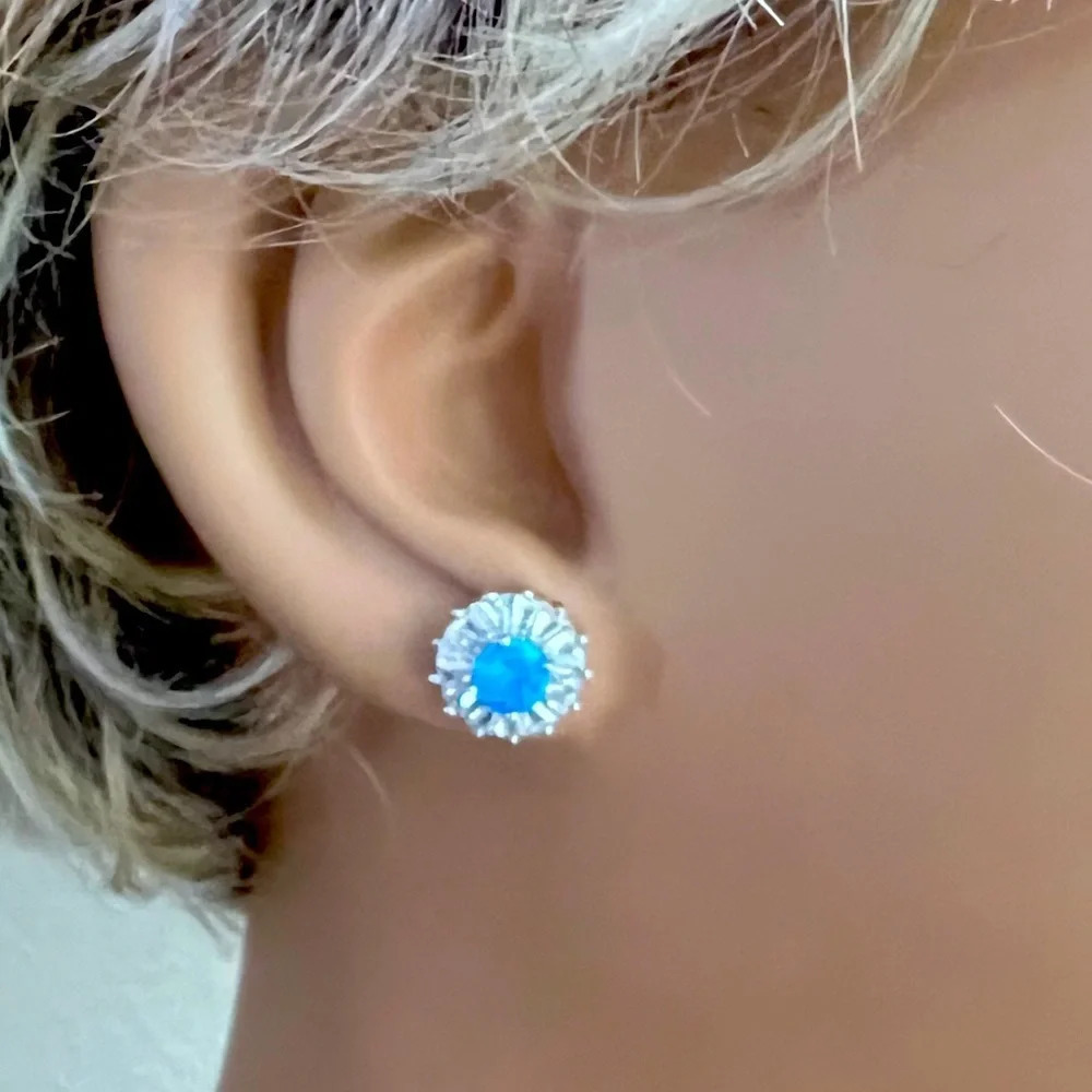 925 Sterling Silver Simulated Sapphire and Cubic Zirconia Round Post Earrings.